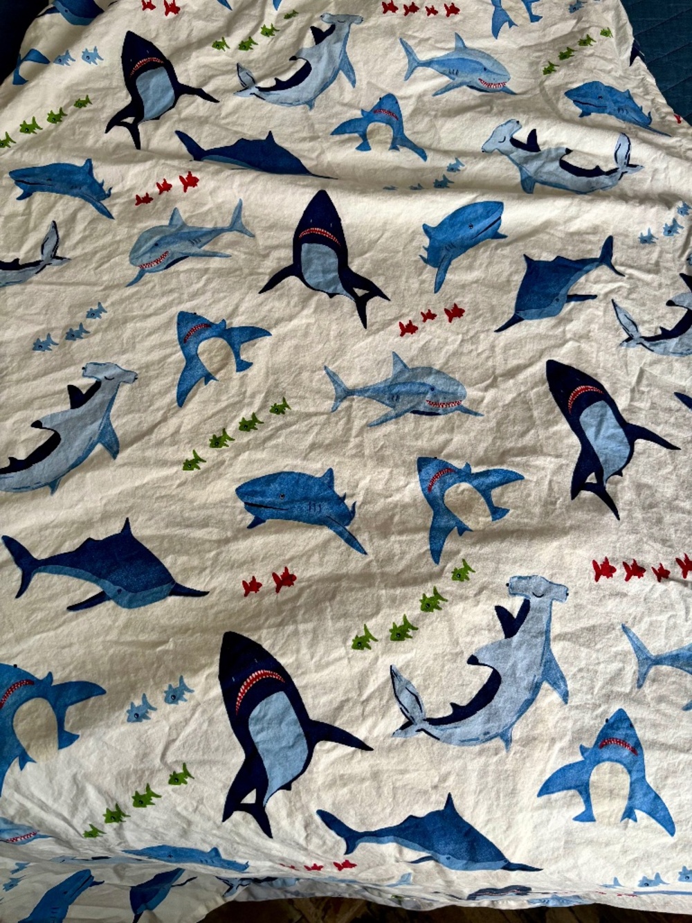Pottery Barn Kids Twin Sheet Set in Shark print